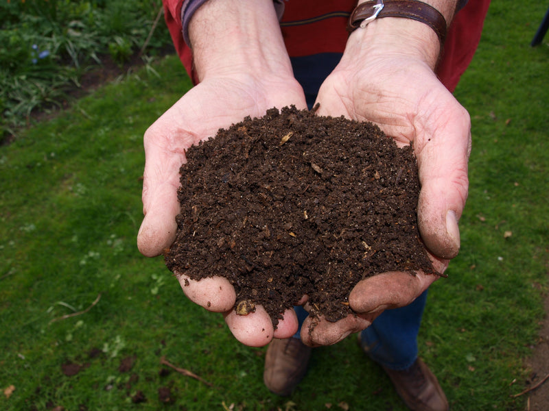 Getting Started with Composting in 2020