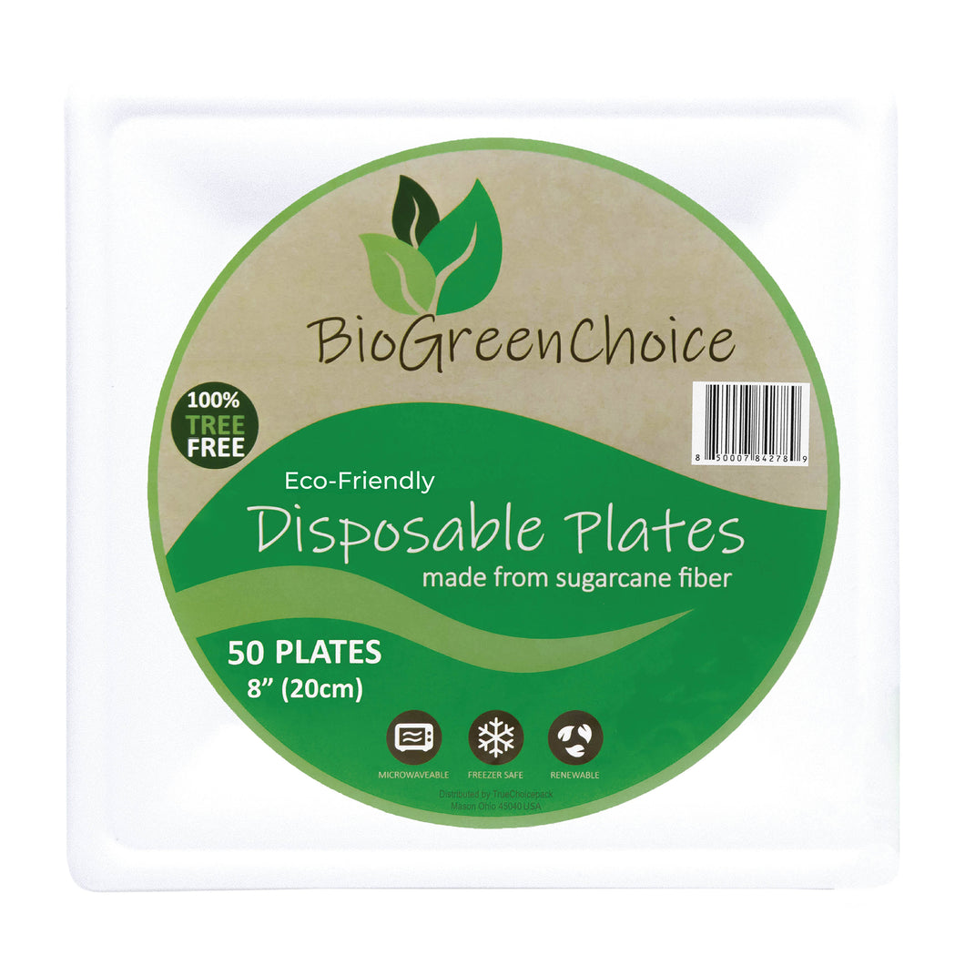 8 inch square disposable plates