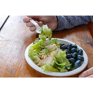 7" Eco-Friendly Disposable Plate (1000 Count)