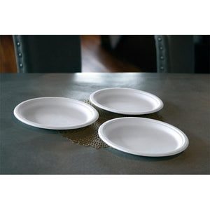 9" Eco-Friendly Disposable Plate (1000 Count)