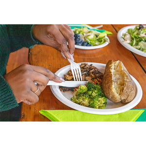 9" Eco-Friendly Disposable Plate (1000 Count)