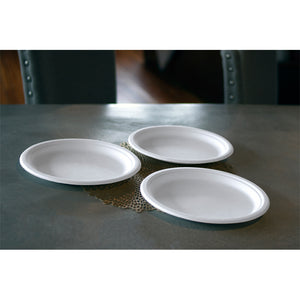 10" Eco-Friendly Disposable Plate (800 Count)