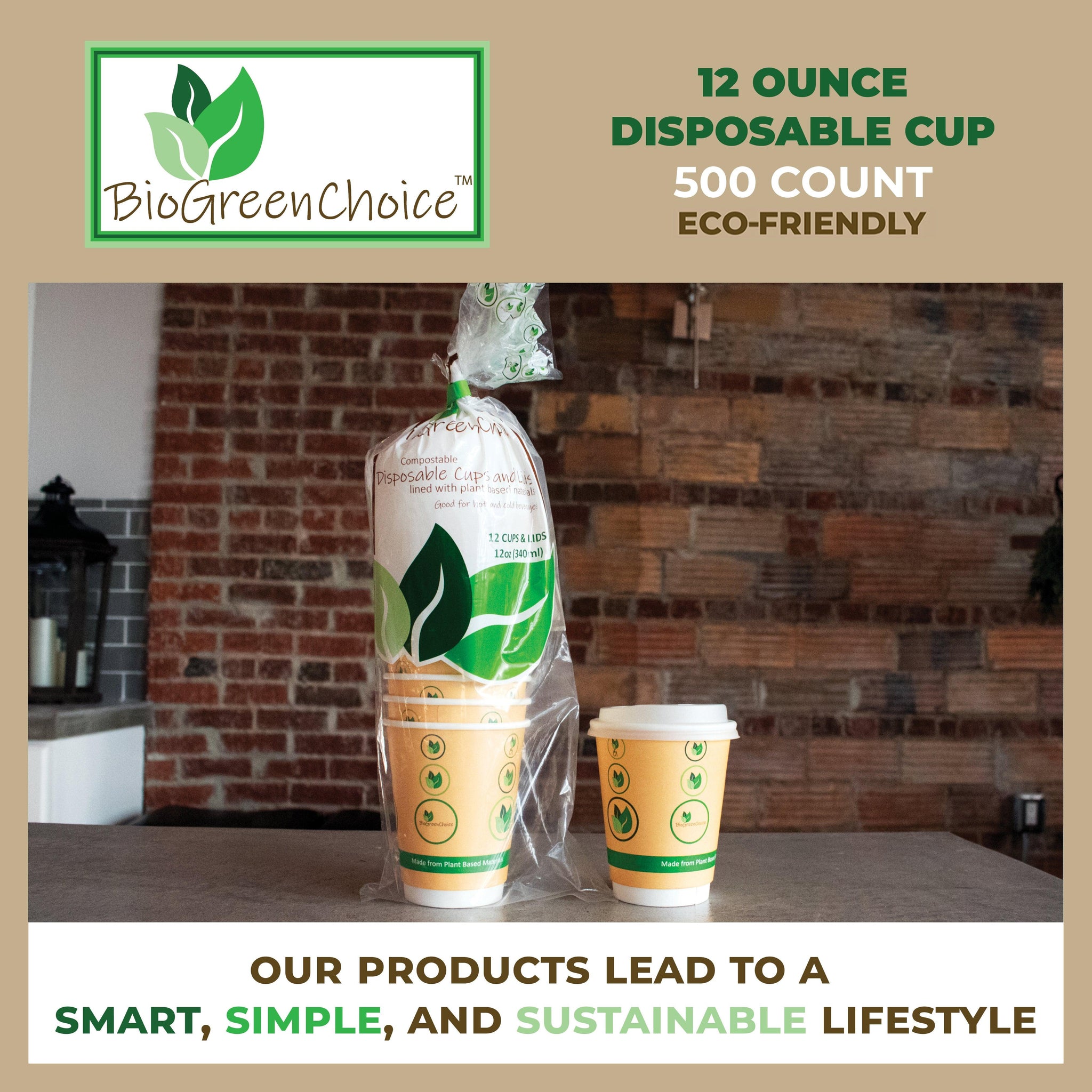 Eco-Friendly Paper Cups with Lids, Straws & Stands - 12oz Cups