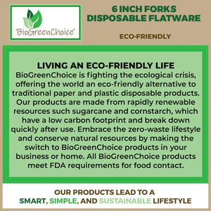 Living an eco friendly life