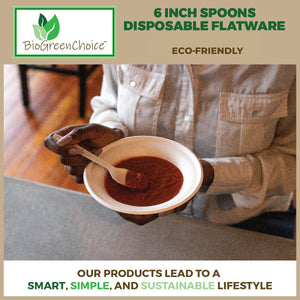 Eco-Friendly CPLA Flatware Spoons (480 Count)