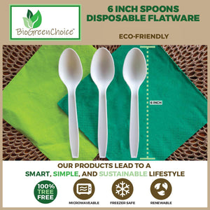 Eco-Friendly CPLA Flatware Spoons (480 Count)