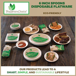 Eco-Friendly CPLA Flatware Spoons (480 Count)