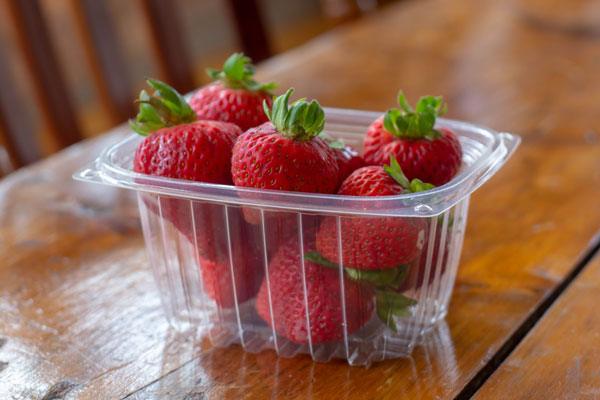 8 oz. Eco-Friendly Clear PLA Rectangle Deli Containers (900 Count)